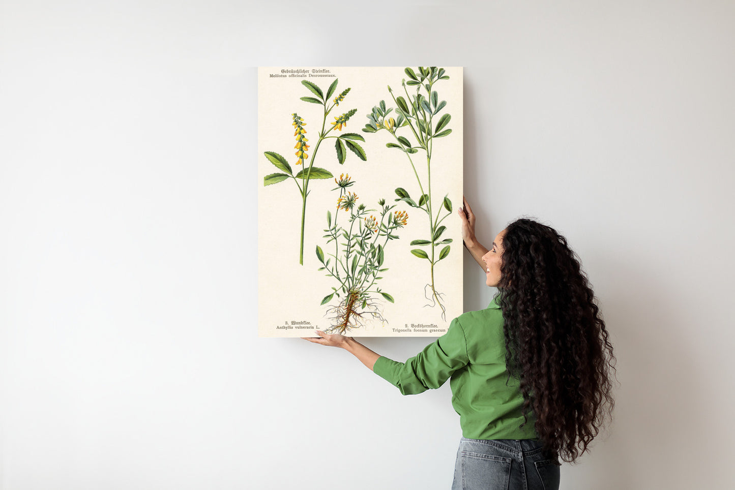 Poster Verschiedene Botanische Pflanzen Rahmen Holz Mit Passepartout Farbe Natürlich