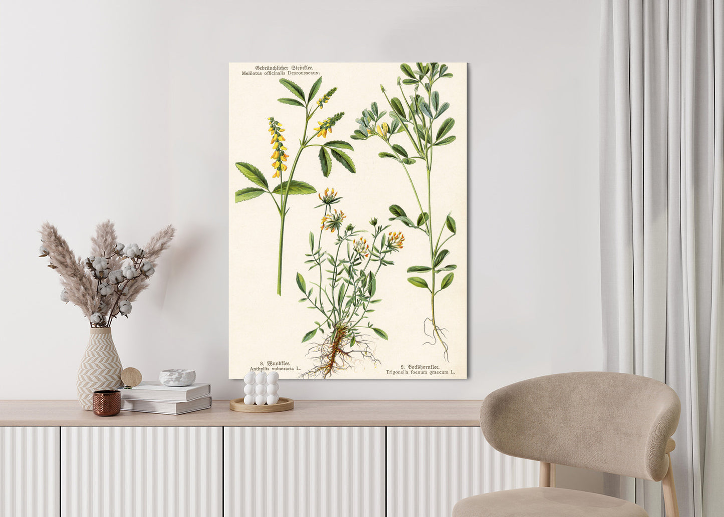 Poster Verschiedene Botanische Pflanzen Rahmen Holz Mit Passepartout Farbe Natürlich