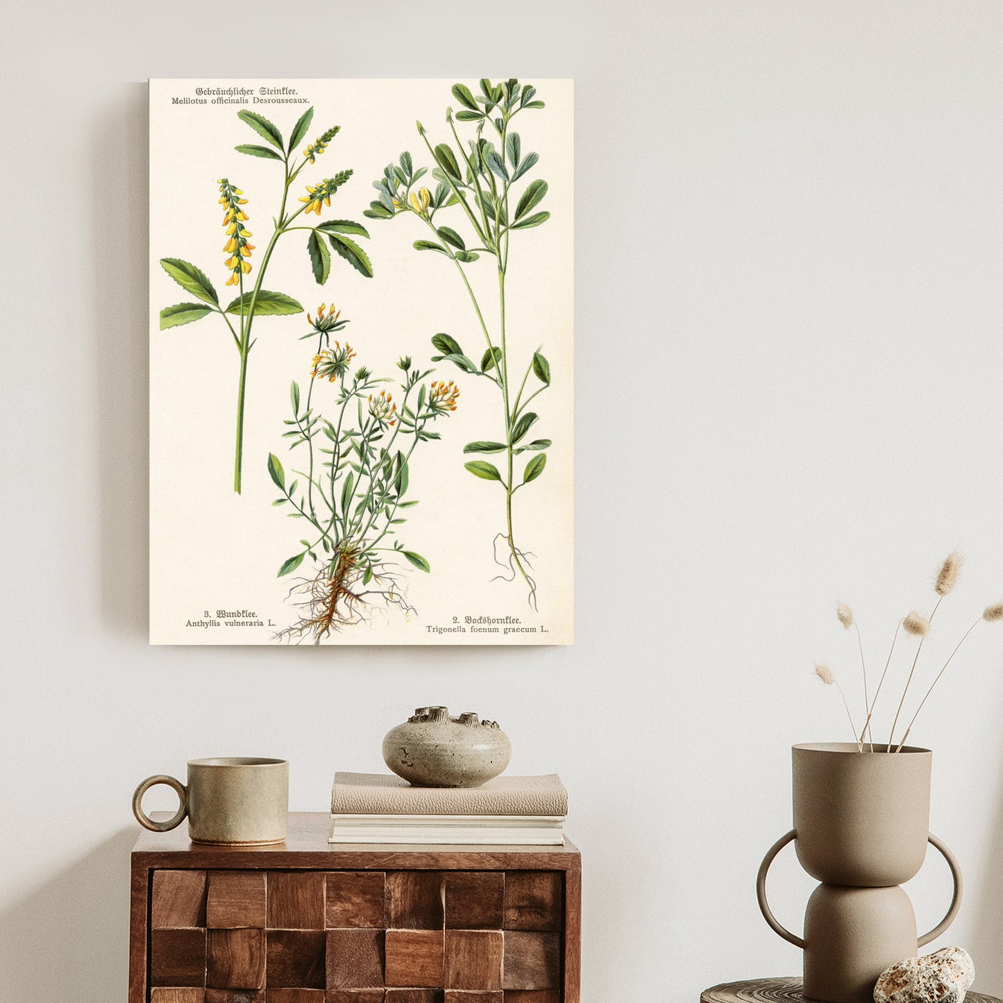 Poster Verschiedene Botanische Pflanzen Rahmen Holz Mit Passepartout Farbe Natürlich