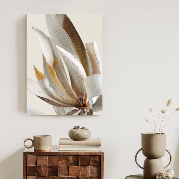 Poster Trockene Protea-Blätter Rahmen Holz Mit Passepartout Farbe Natürlich