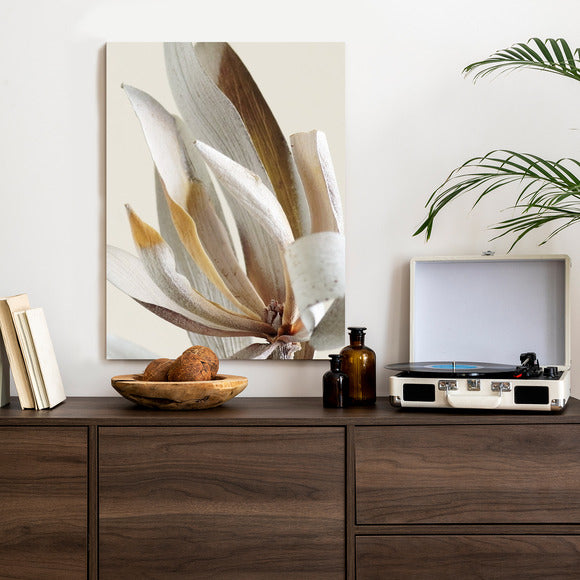 Poster Trockene Protea-Blätter Rahmen Holz Mit Passepartout Farbe Natürlich
