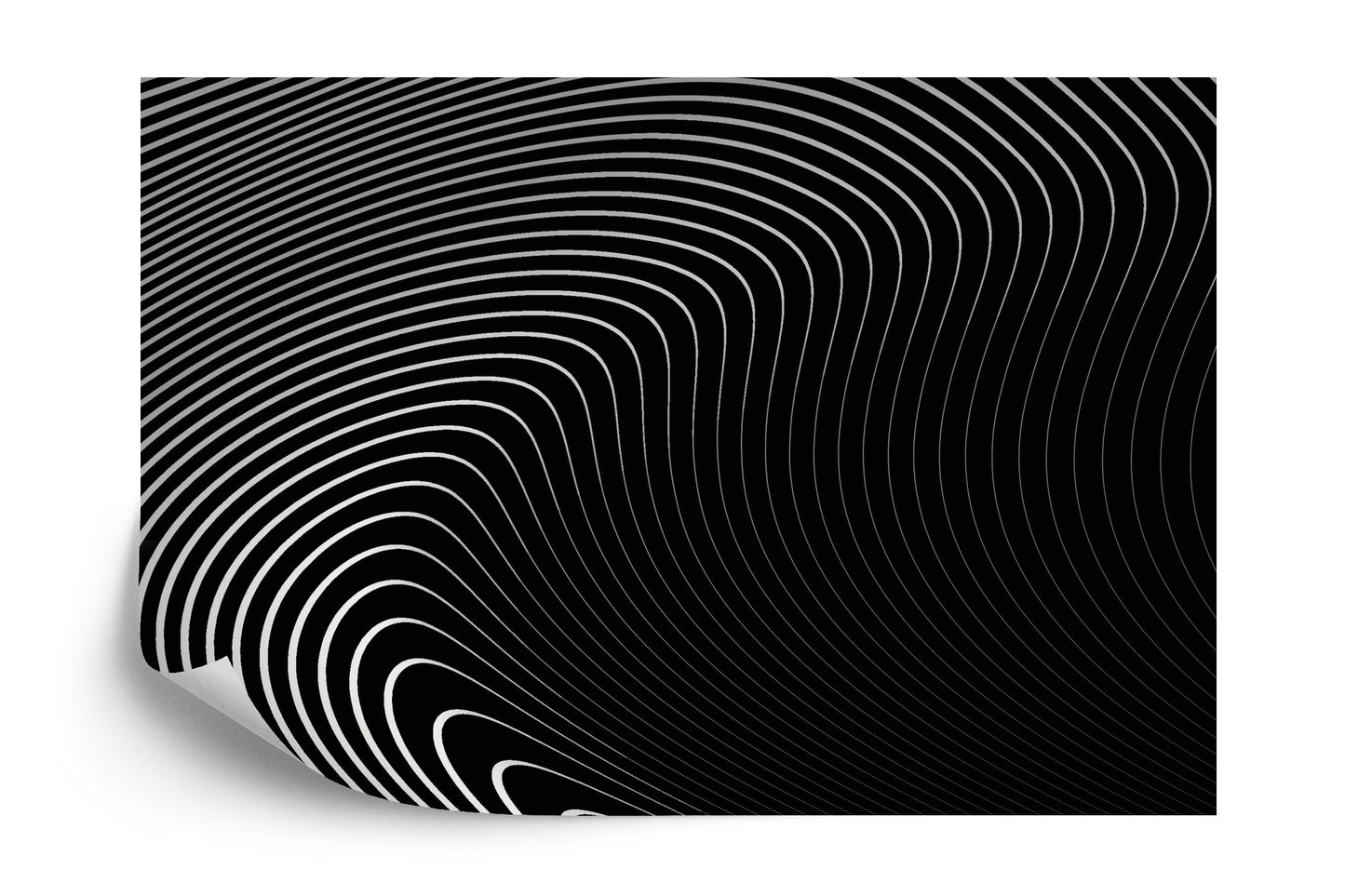 Fototapete Of The Gray Pattern Of Lines . Eps10.