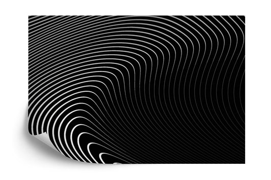 Fototapete Of The Gray Pattern Of Lines . Eps10.