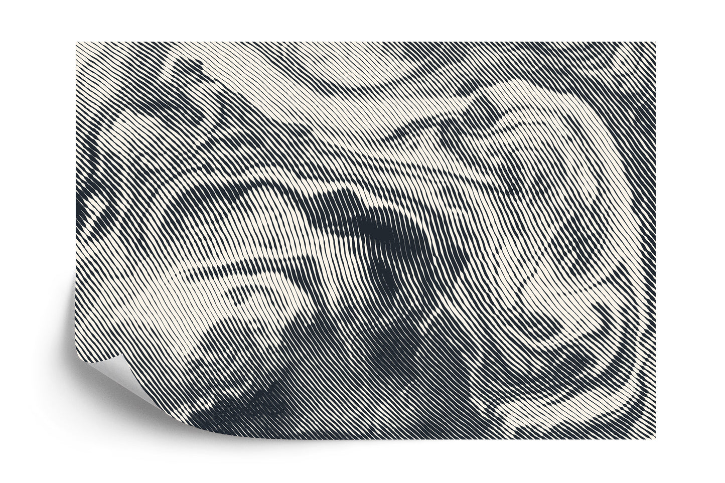 Fototapete Abstract Halftone Background, Retro Engraving Style.