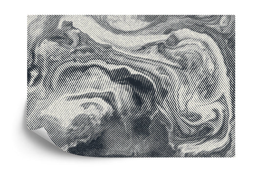 Fototapete Abstract Halftone Background, Retro Engraving Style.