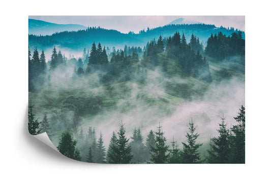 Fototapete Wald Im Nebel