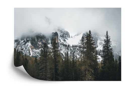 Fototapete Wald Im Nebel
