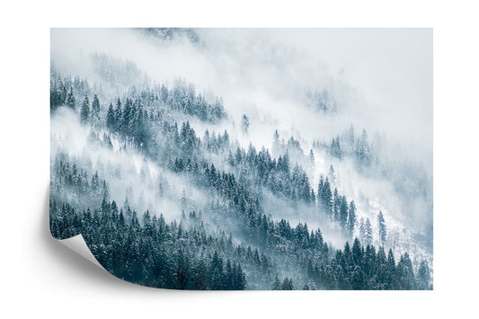 Fototapete Wald Im Nebel