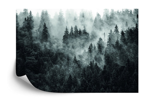 Fototapete Wald Im Nebel