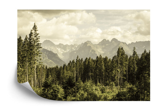 Fototapete Wald Berge