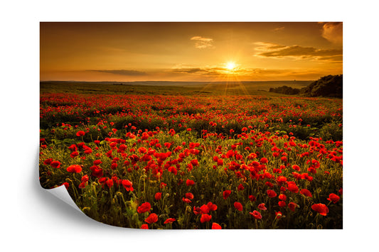 Fototapete Landschaft Blumen
