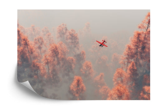 Fototapete Wald Im Nebel