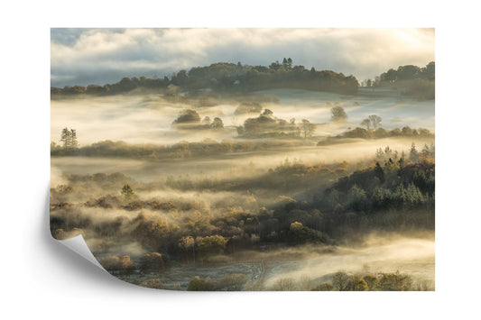 Fototapete Wald Im Nebel