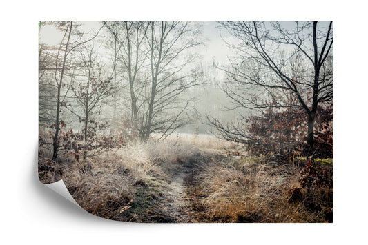 Fototapete Wald Im Nebel