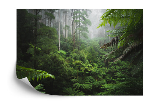 Fototapete Wald Im Nebel