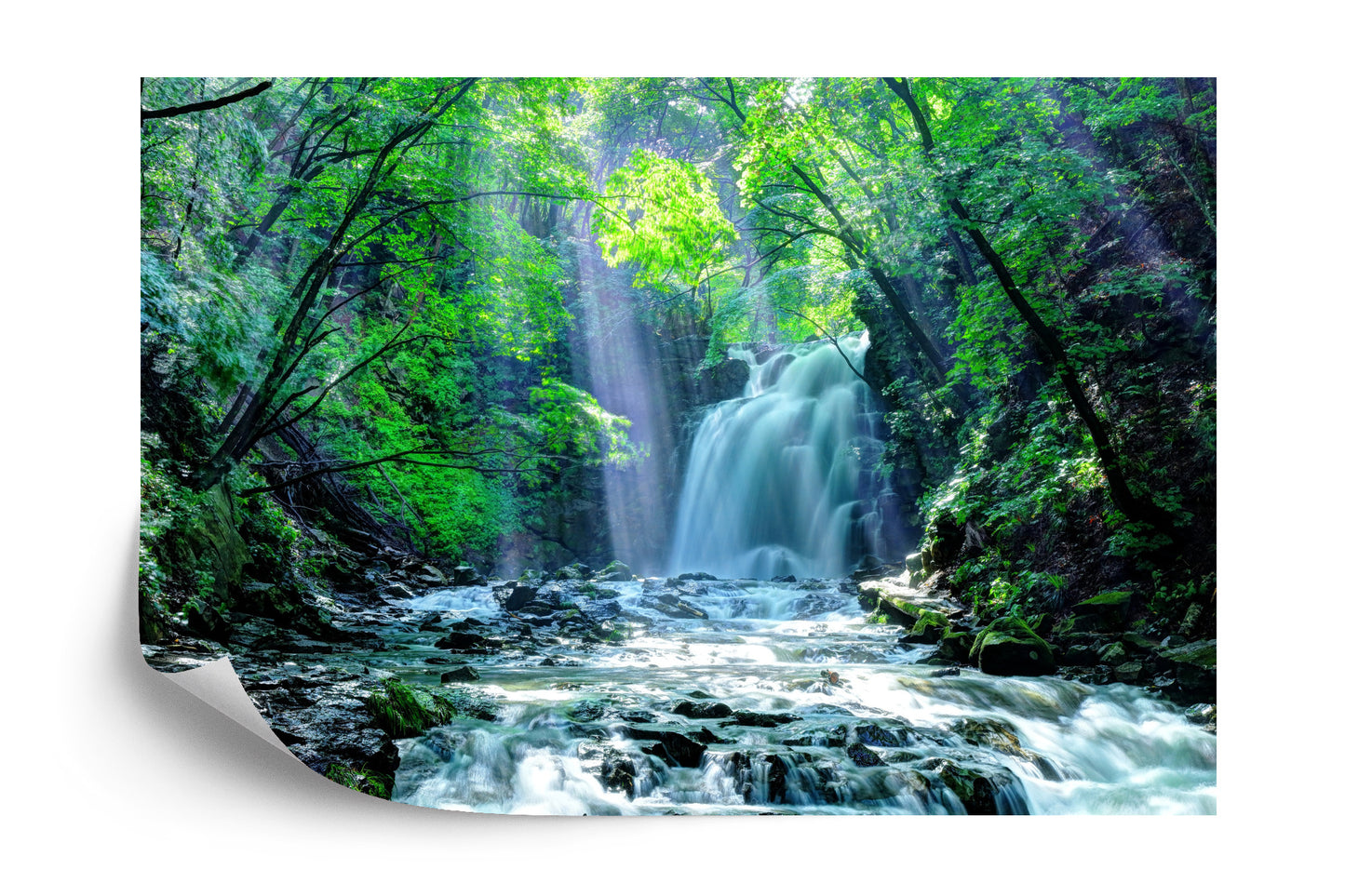 Fototapete Wasserfall Im Wald