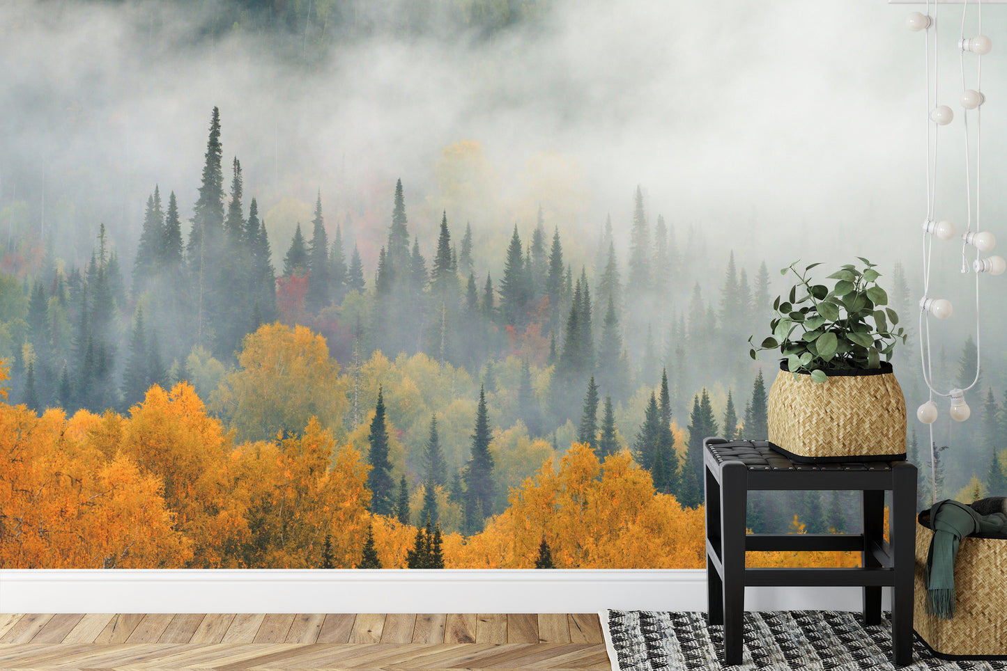 Fototapete Nebel Über Dem Herbstwald
