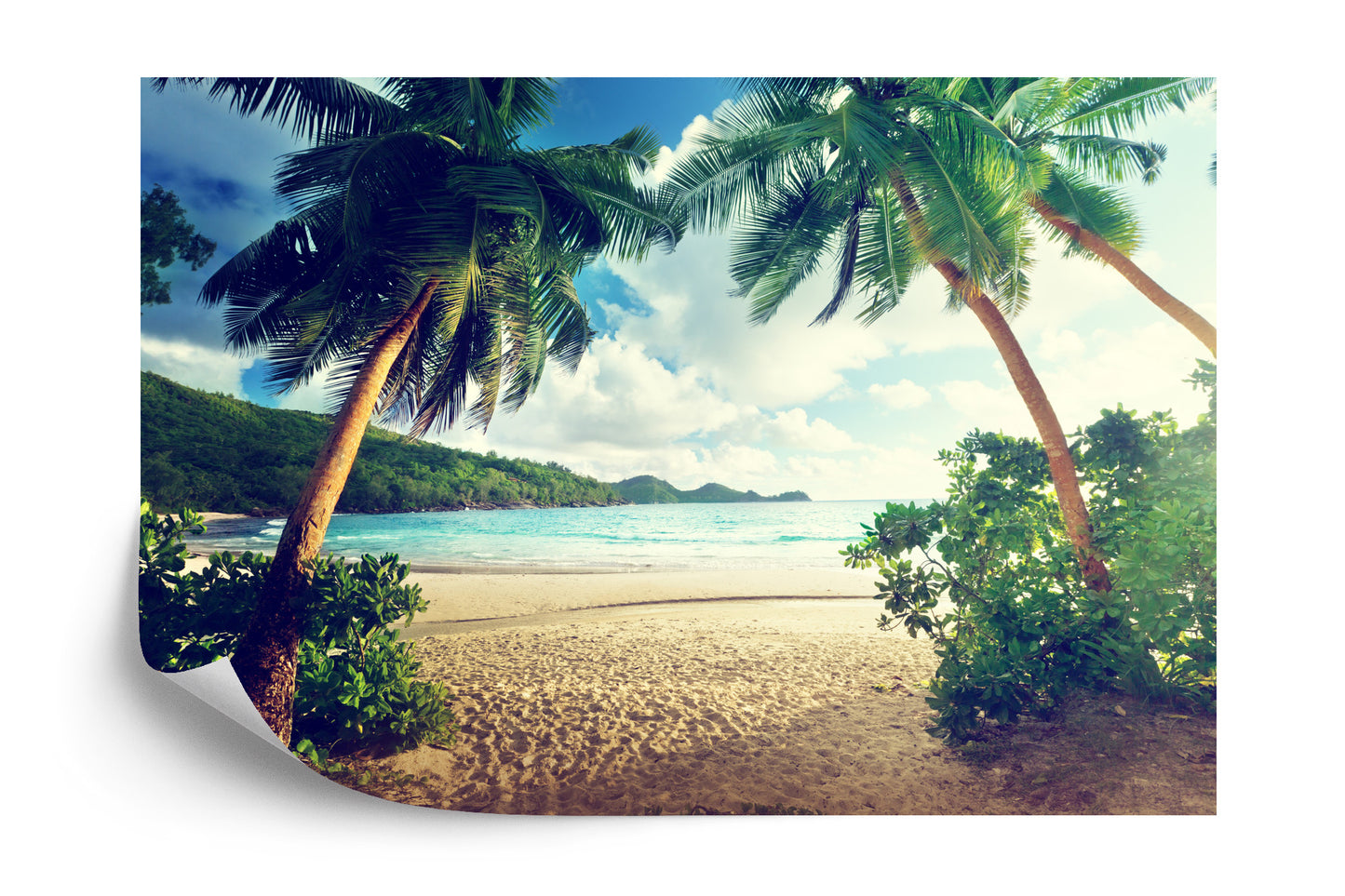 Fototapete Palmen Auf Den Seychellen
