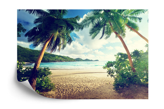 Fototapete Palmen Auf Den Seychellen