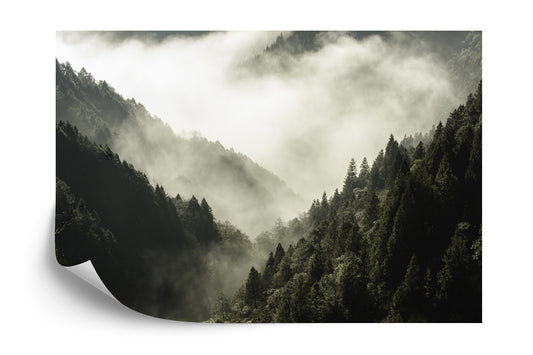 Fototapete Wald Im Nebel