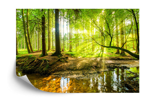 Fototapete Wunderschönes Waldland Im Frühling Im 3D Effekt
