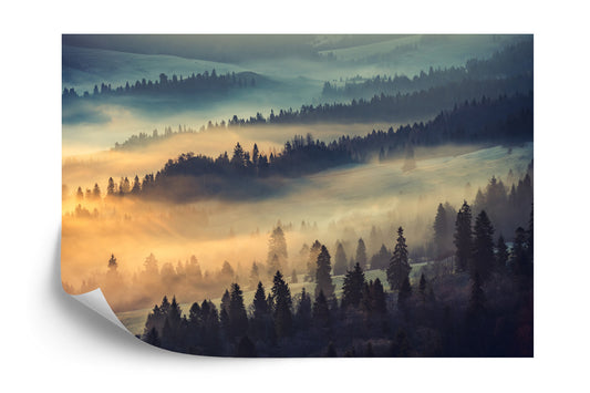 Fototapete Wald Im Nebel