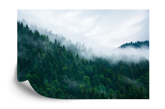 Fototapete Wald Im Nebel