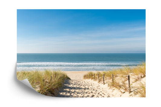 Fototapete Strand Dünenmeer