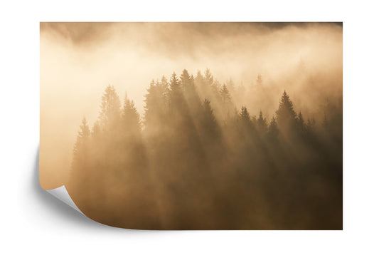 Fototapete Nebliger Wald