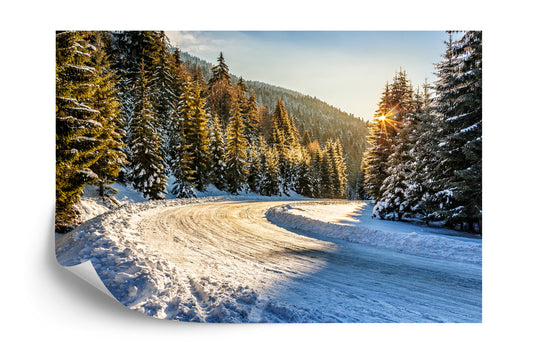 Fototapete Winterwald