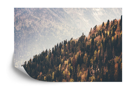 Fototapete Wald Berge