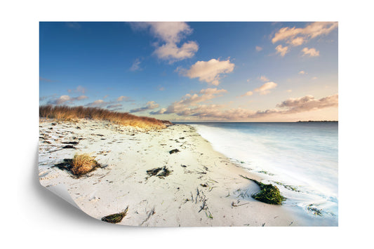 Fototapete Strand Meeresdünen