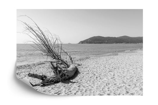 Fototapete Strand Meer Sand