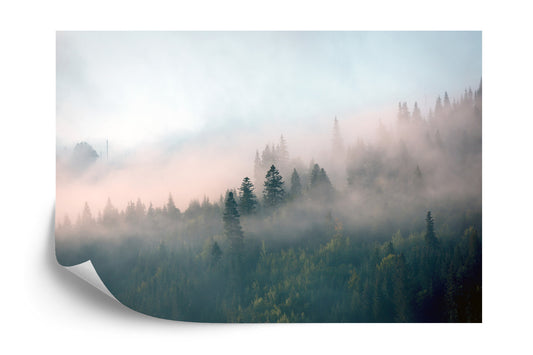 Fototapete Wald Im Nebel