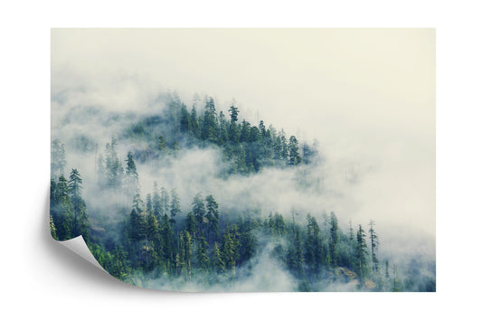 Fototapete Wald Im Nebel