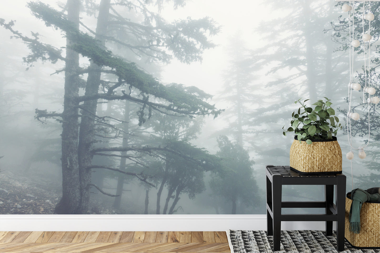 Fototapete Wald Im Nebel