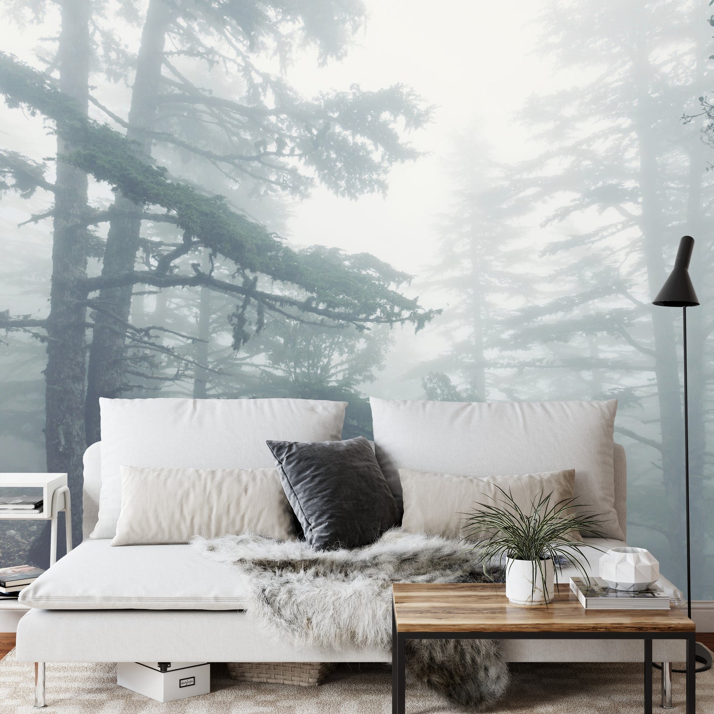 Fototapete Wald Im Nebel