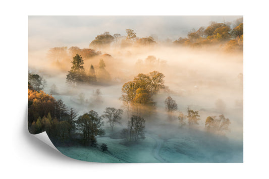 Fototapete Wald Im Nebel