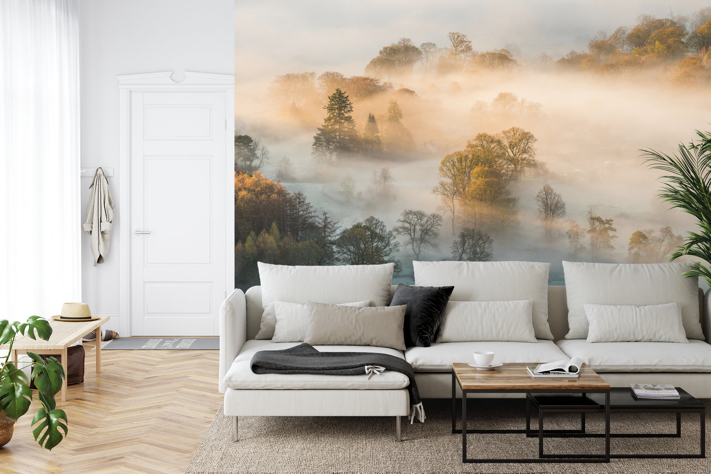 Fototapete Wald Im Nebel