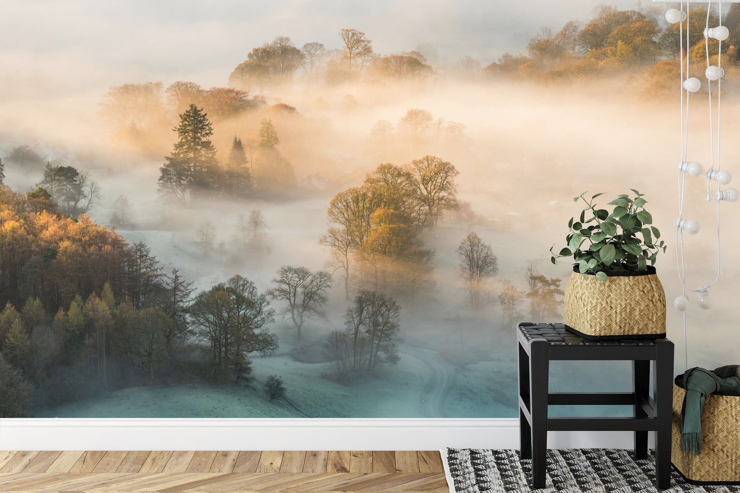 Fototapete Wald Im Nebel