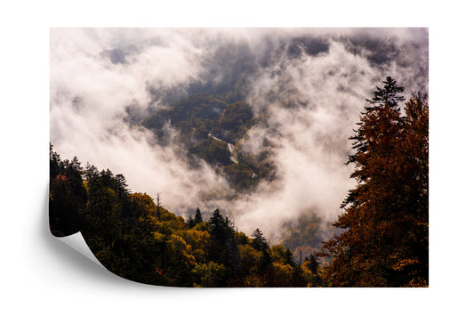 Fototapete Wald Im Nebel