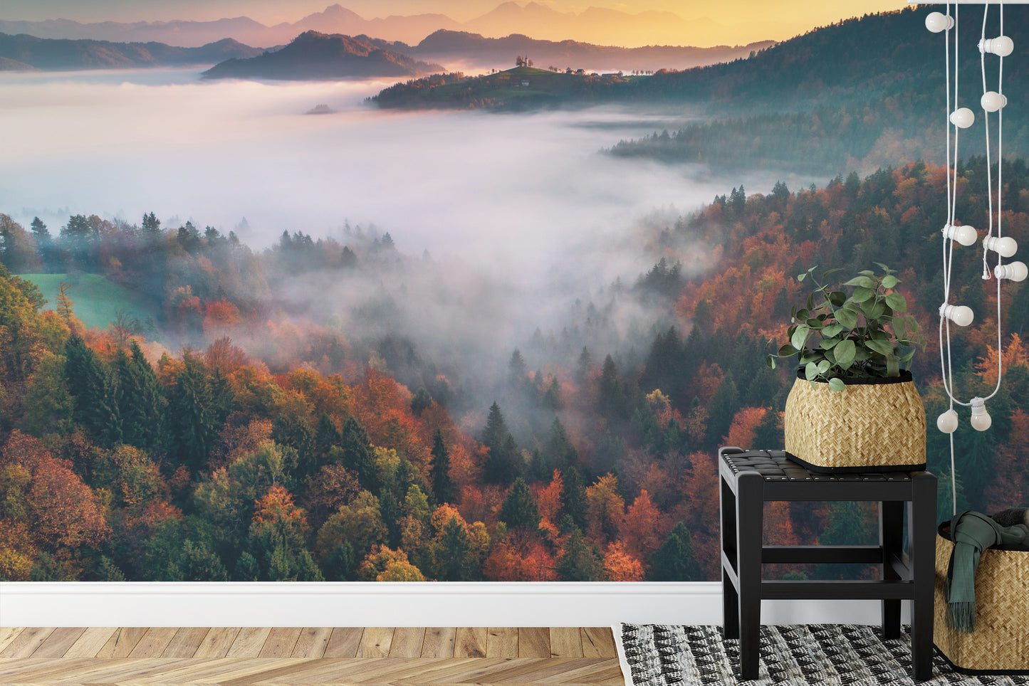 Fototapete Wald Im Nebel