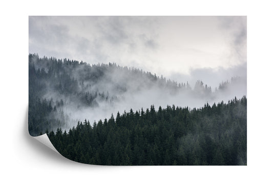 Fototapete Wald Im Nebel