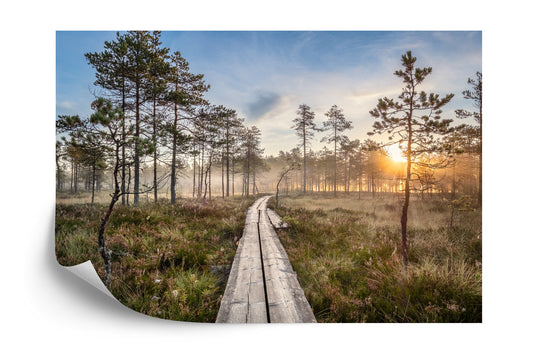 Fototapete Hölzerner Pfad Im Wald