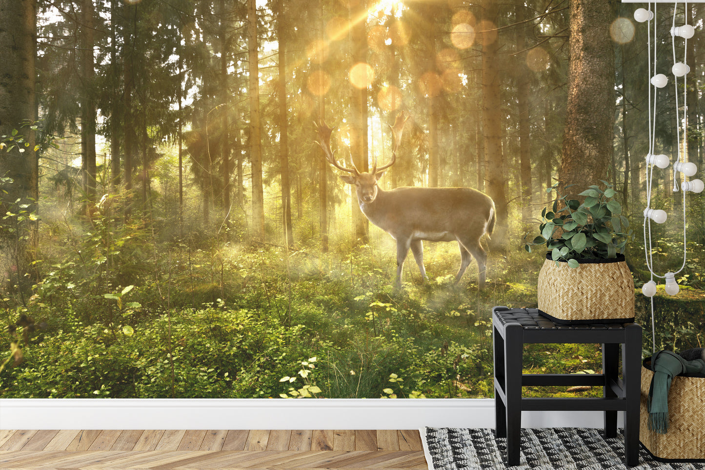 Fototapete Rehe Am Morgen Im Wald