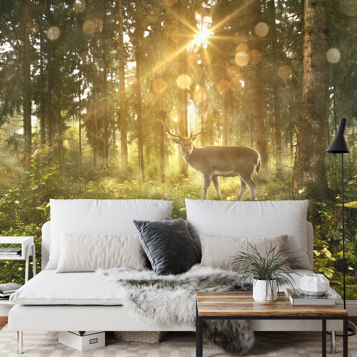 Fototapete Rehe Am Morgen Im Wald