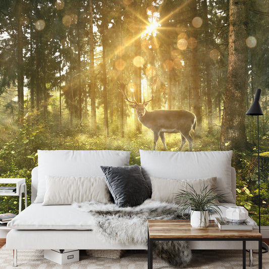 Fototapete Rehe Am Morgen Im Wald