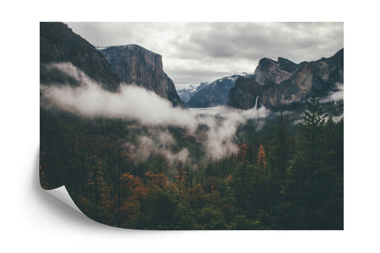 Fototapete Wald Im Nebel