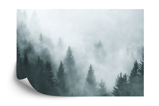 Fototapete Wald Im Nebel