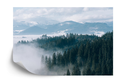 Fototapete Nebliger Wald
